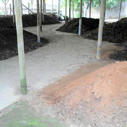 Sawdust Composting Piles