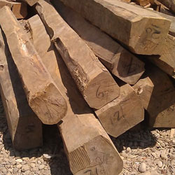 Plantation Teak Wood Logs